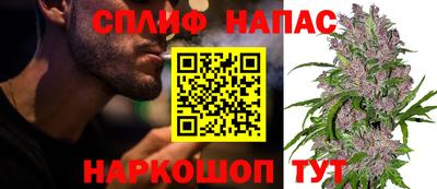 скорость Заводоуковск