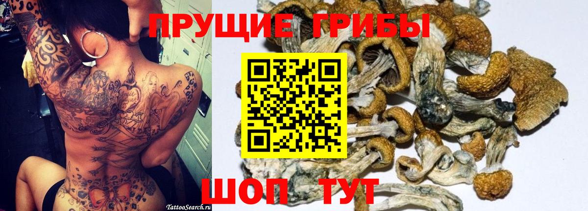 Псилоцибиновые грибы мухоморы Малоярославец