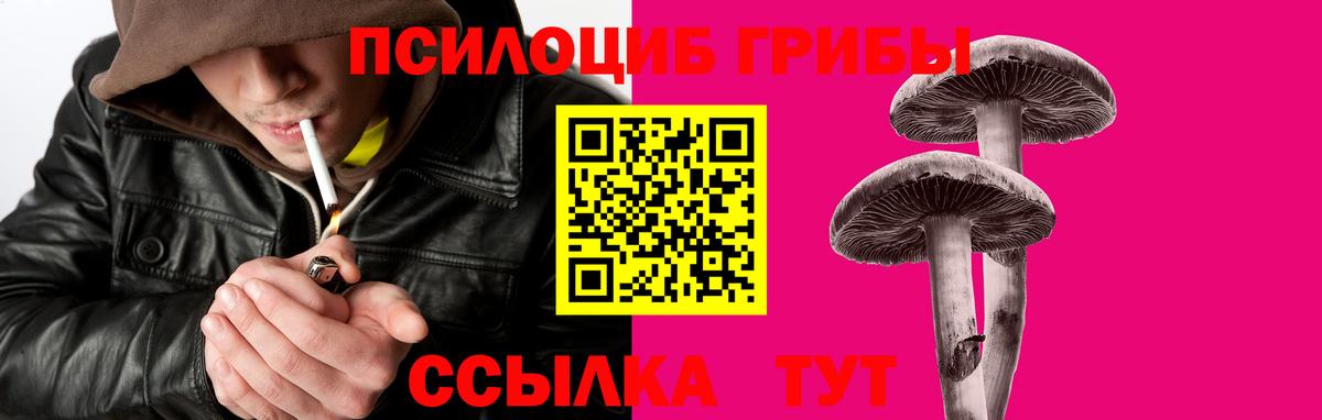 Малоярославец  Галлюциногенные грибы GOLDEN TEACHER  Вход с VPN 